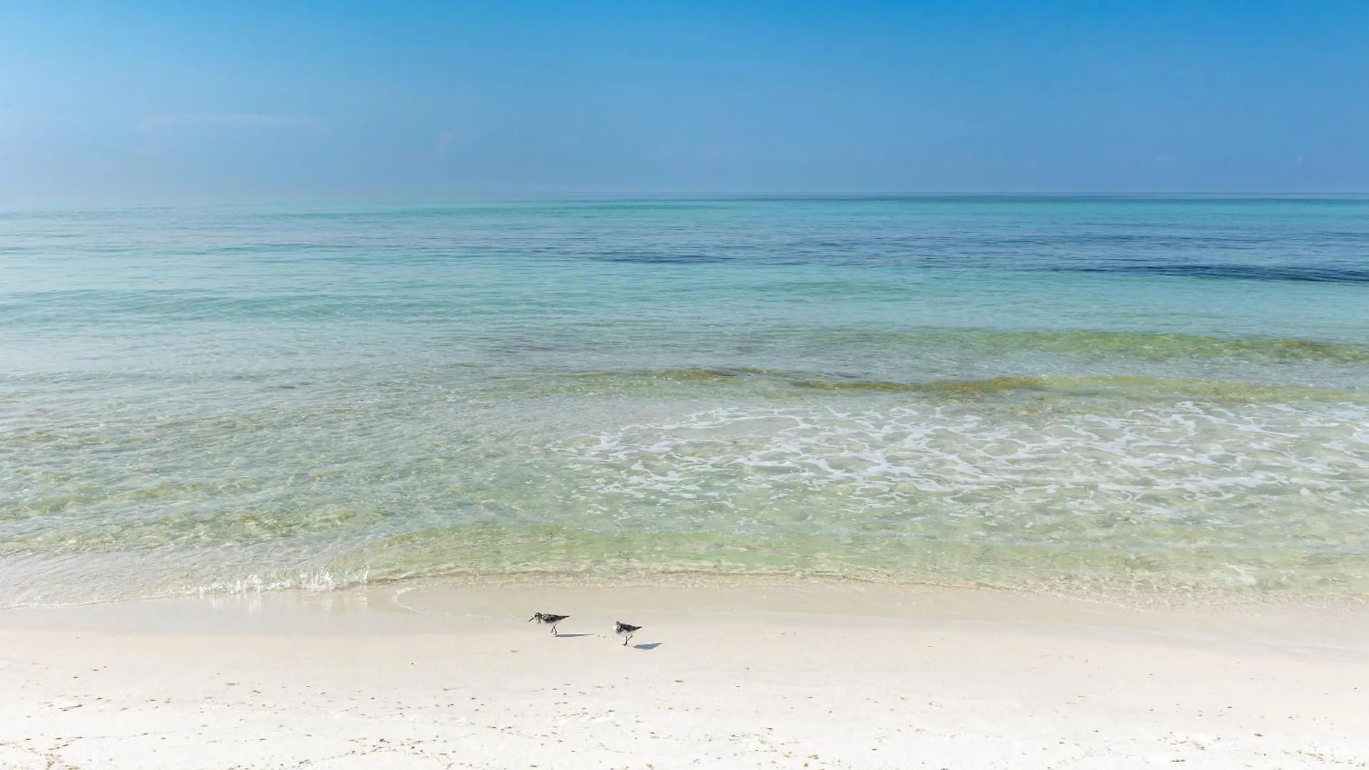 Inlet Reef 105- By Holiday Isle Properties Destin 0*,